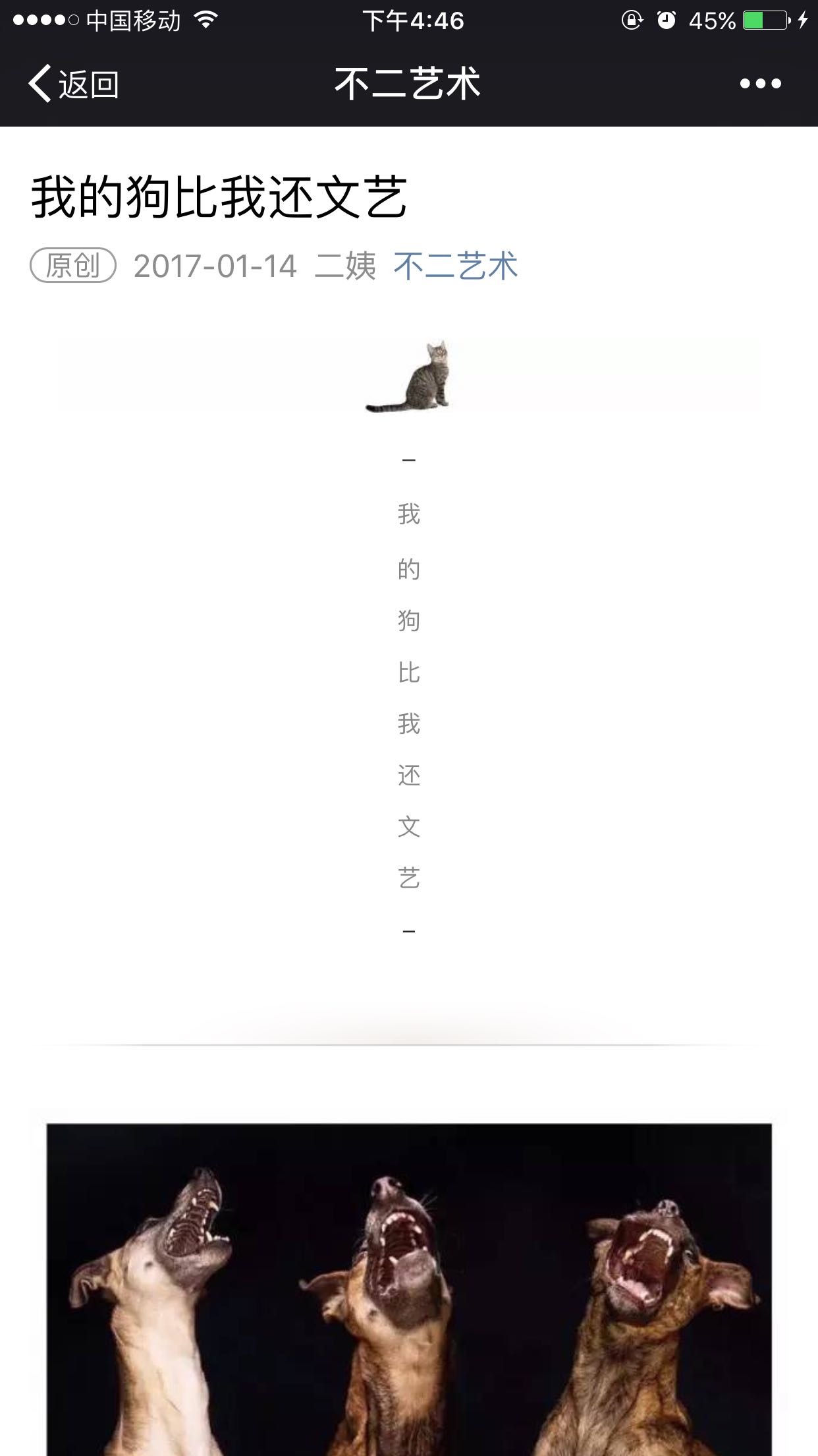 微信软文,H5 公众号风格规划及内容互动运营。